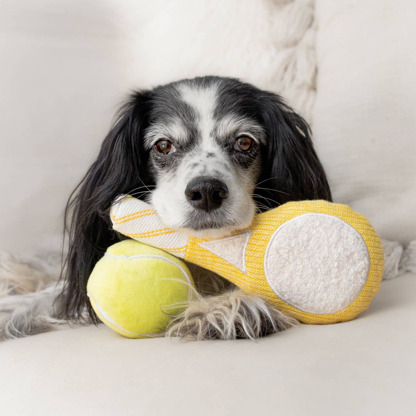 TENNIS POP // ENRICHMENT DOG TOY // Squeaky Ball Set
