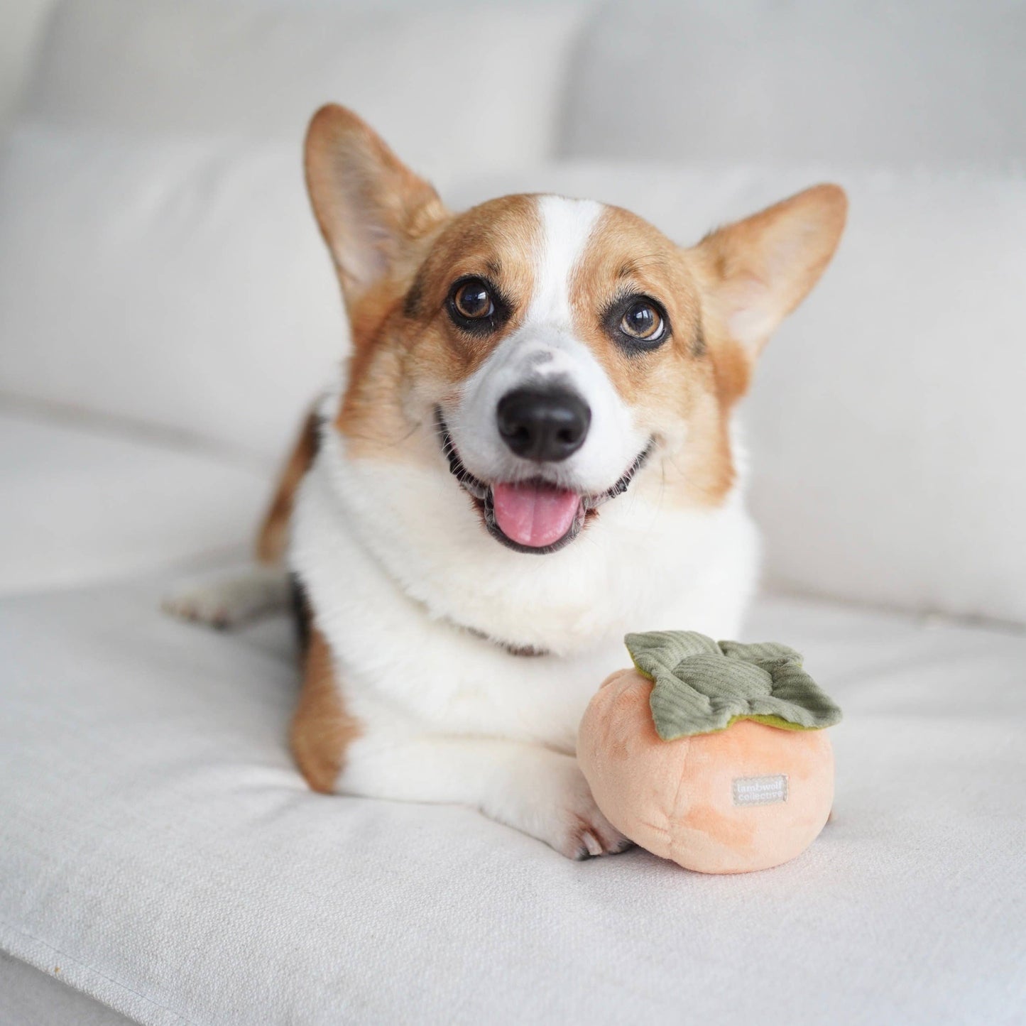 PERSIMMON/ ENRICHMENT TOY / SNUFFLE TOY