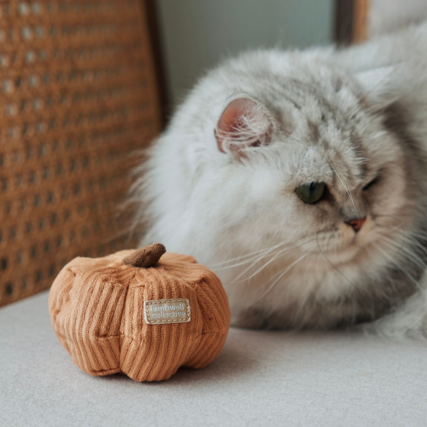 KITTY VEGGIE// CAT TOY // CATNIP
