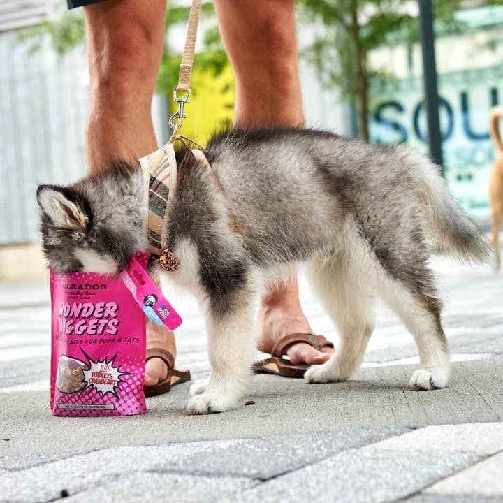 Polkadog Wonder Nuggets Turkey & Cranberry Dog Treats 10oz