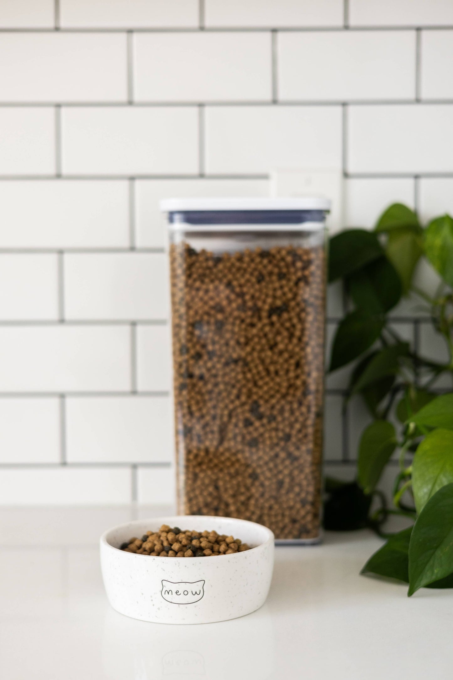 Speckled Cat Bowl, Water or Food Pet Dish, Small