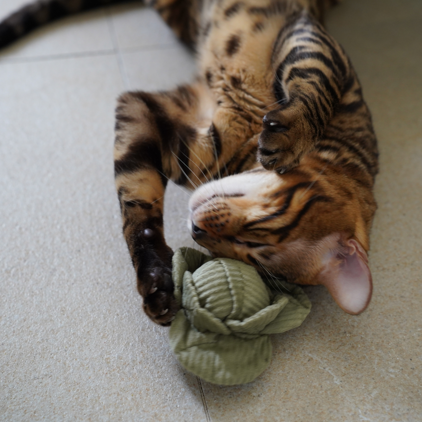 KITTY VEGGIE// CAT TOY // CATNIP
