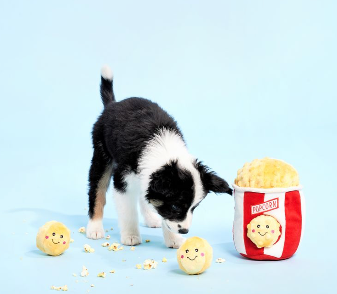 Zippy Burrow - Popcorn Bucket - Dog Toy
