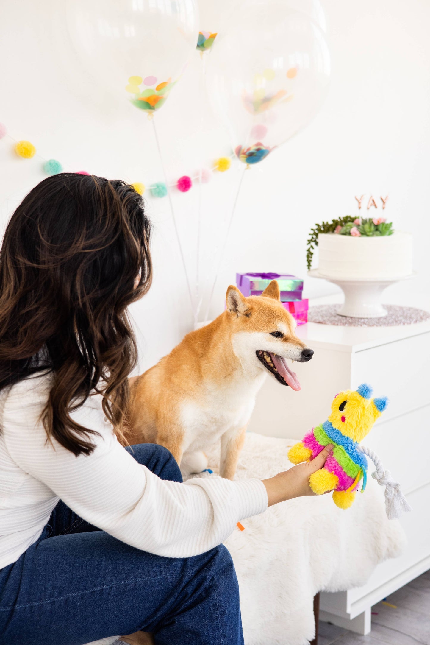 Puppy Pinata Dog Toy