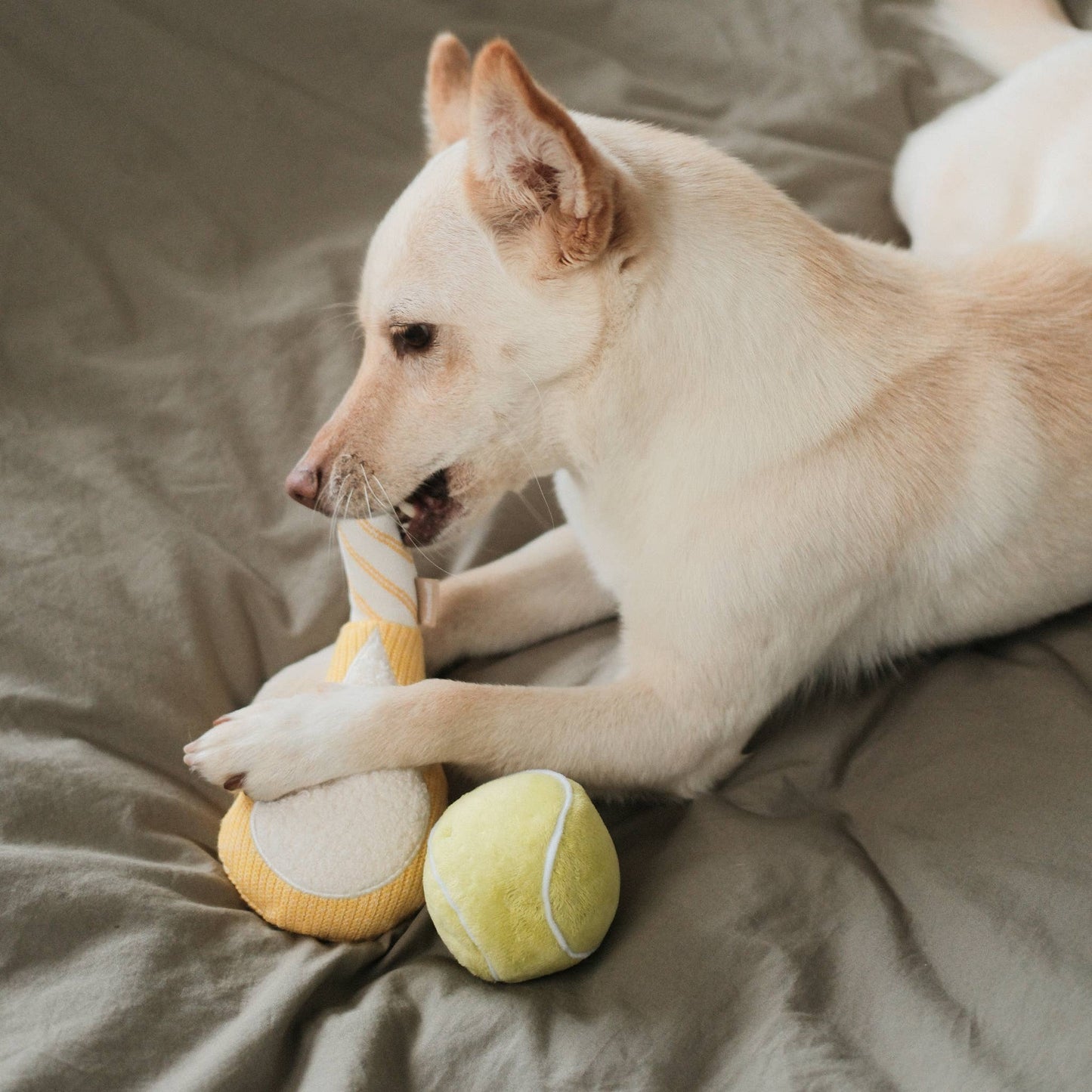 TENNIS POP // ENRICHMENT DOG TOY // Squeaky Ball Set
