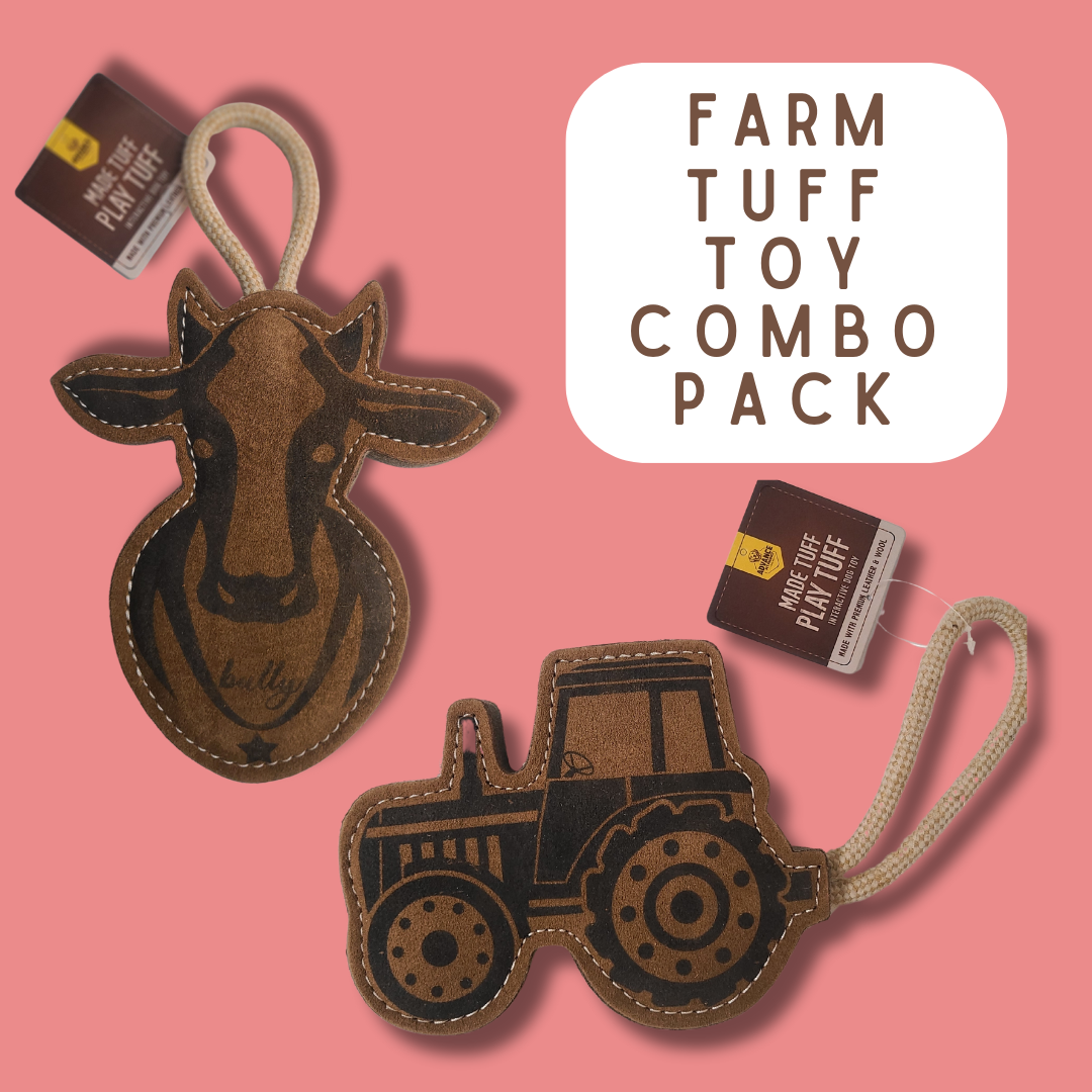 Bully TUFF TOYS Leather Dog Toys made of Durable water buffalo lea: Bully