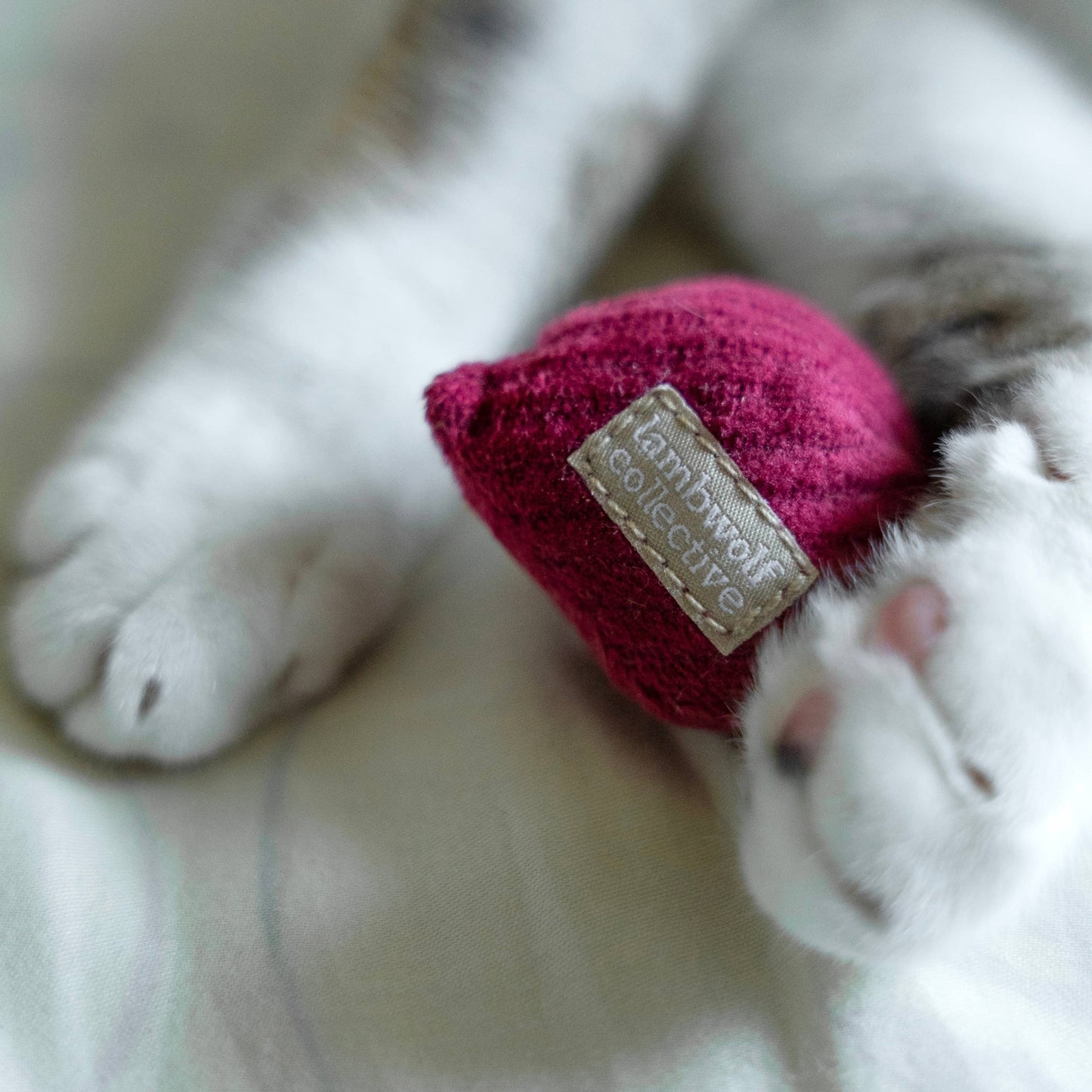 KITTY RADISH // CAT TOY // CATNIP: S/ CREAM