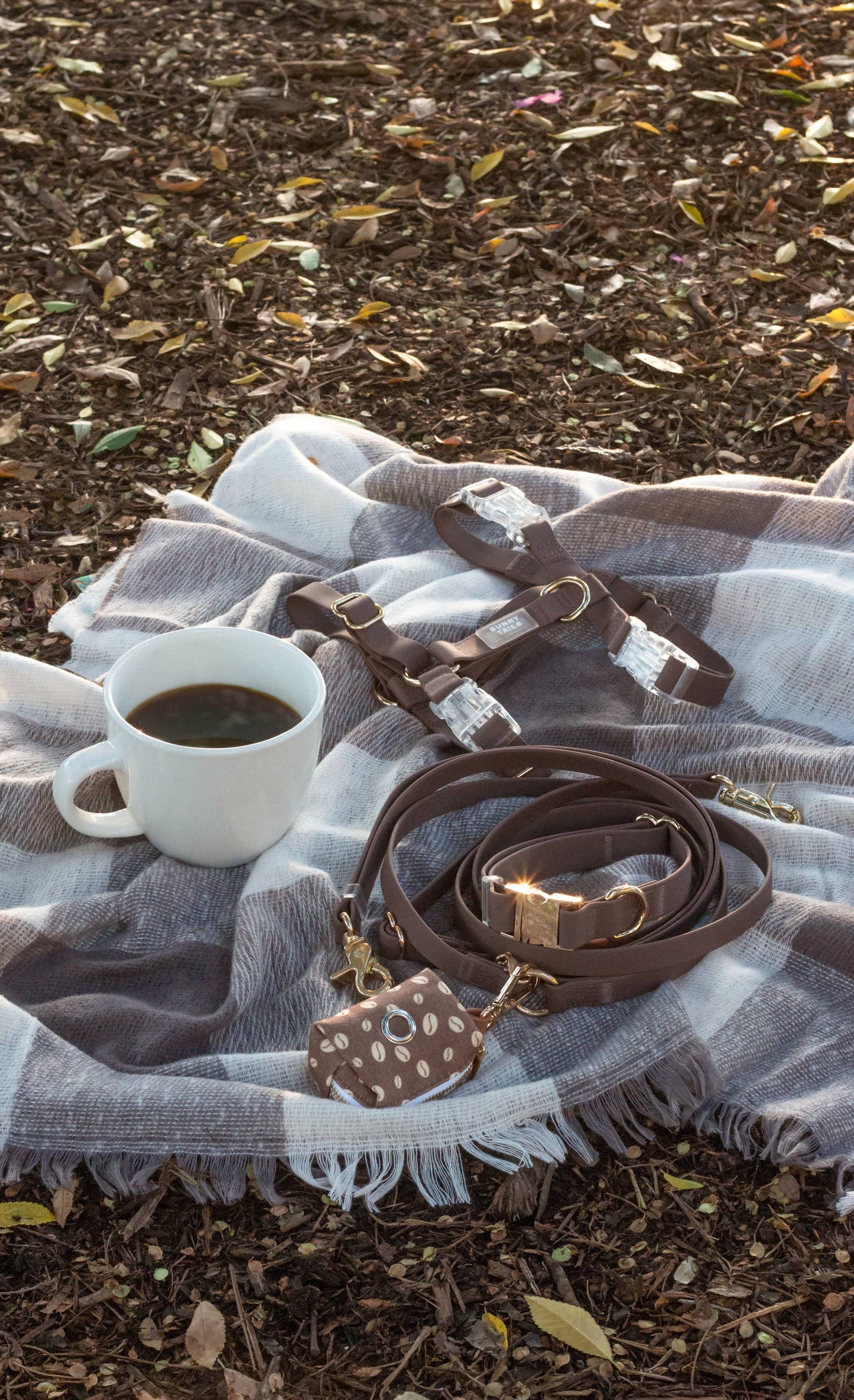 Espresso Brown 4-in-1 Convertible Hands Free Cloud Dog Leash