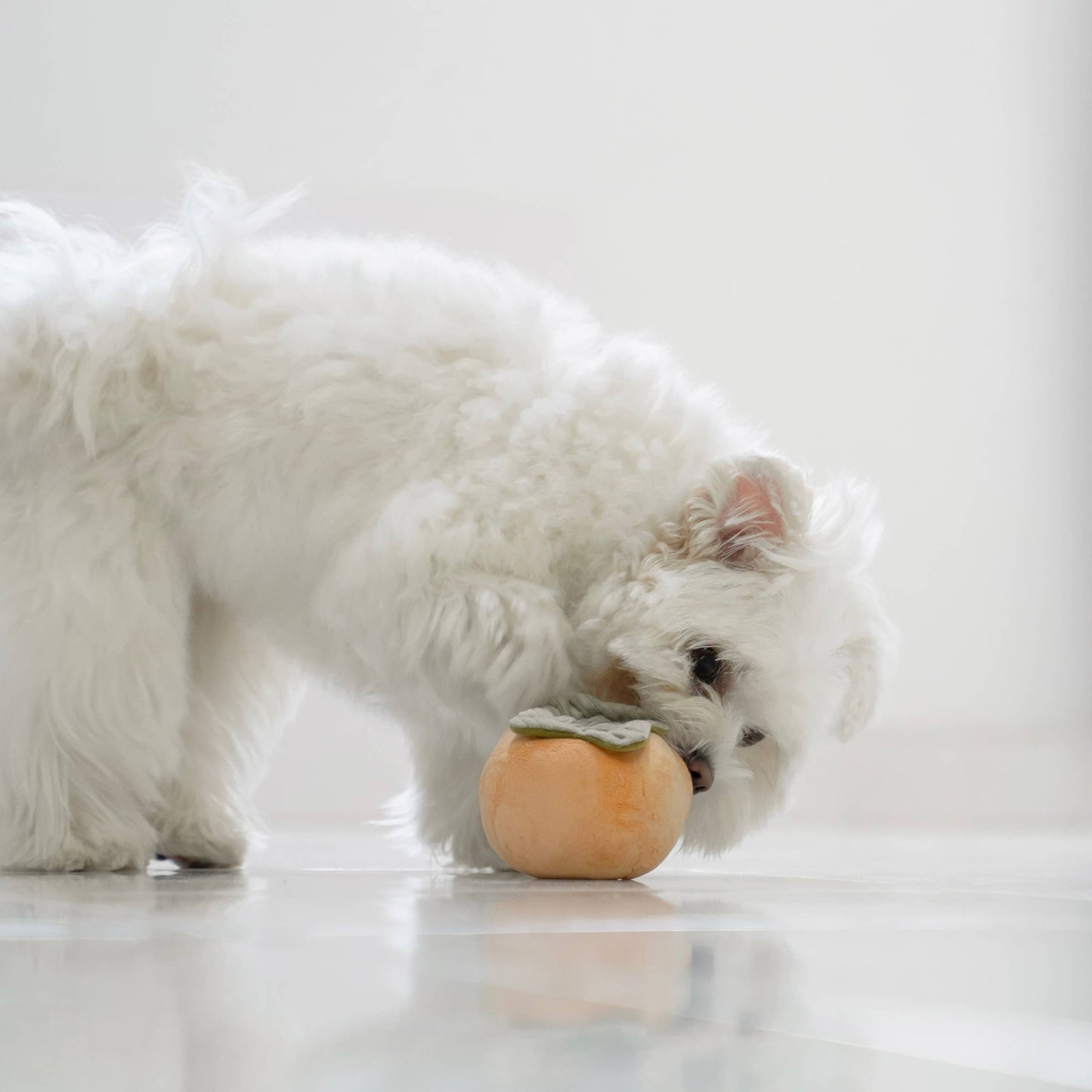 PERSIMMON/ ENRICHMENT TOY / SNUFFLE TOY