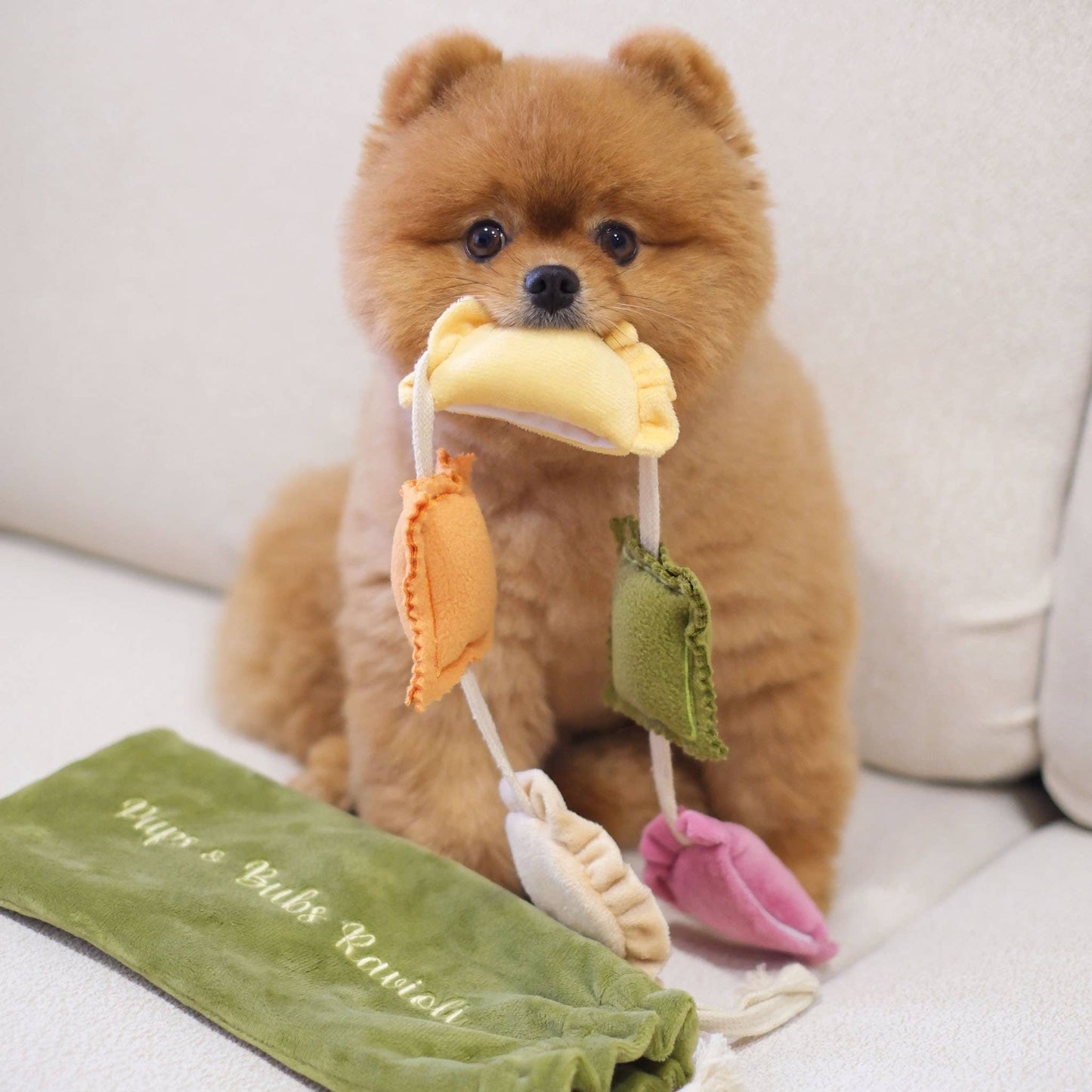 Ravioli Nosework Enrichment Toy | Squeaker | Crinkle