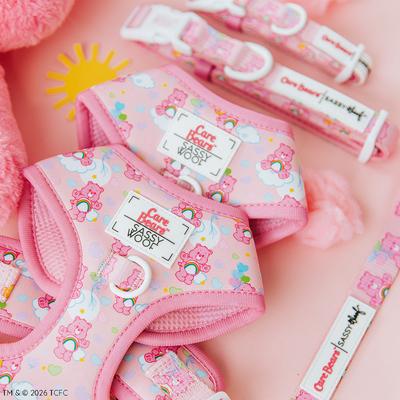 Sassy Woof- Care Bears Cheer Bear