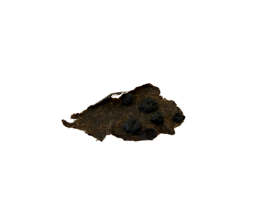 Bison bark