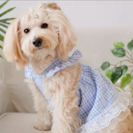 Blue Drees