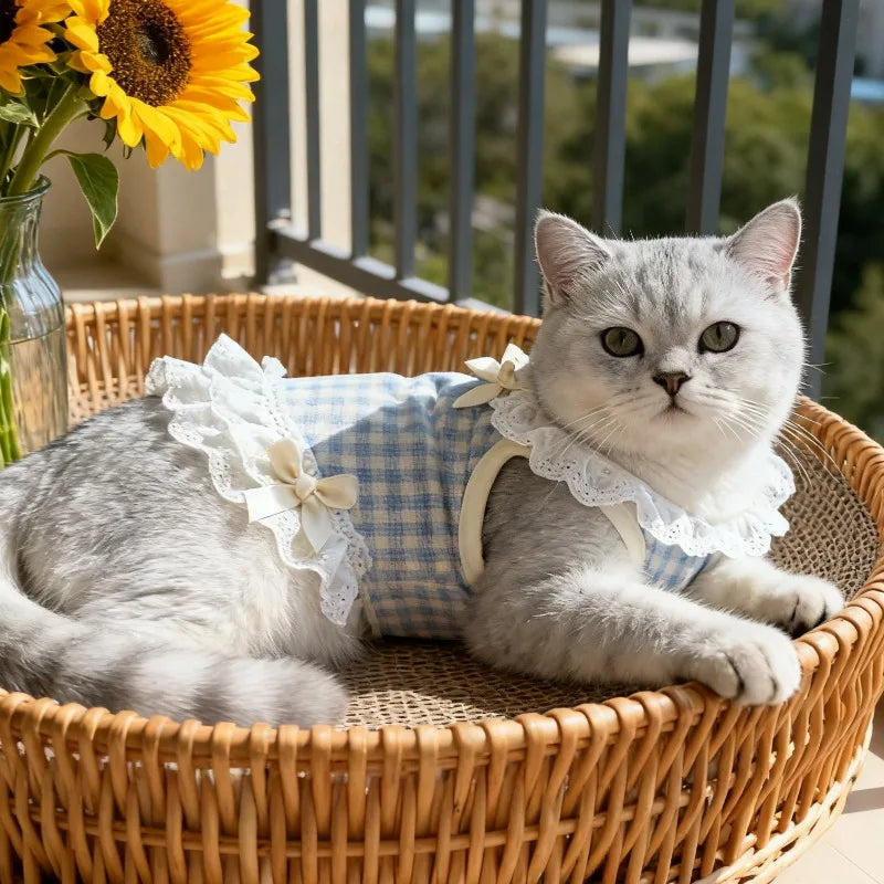 Blue PJ’s Dress
