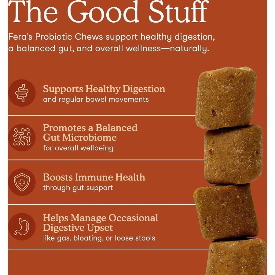 Probiotics Full Spectrum Gut Health Support