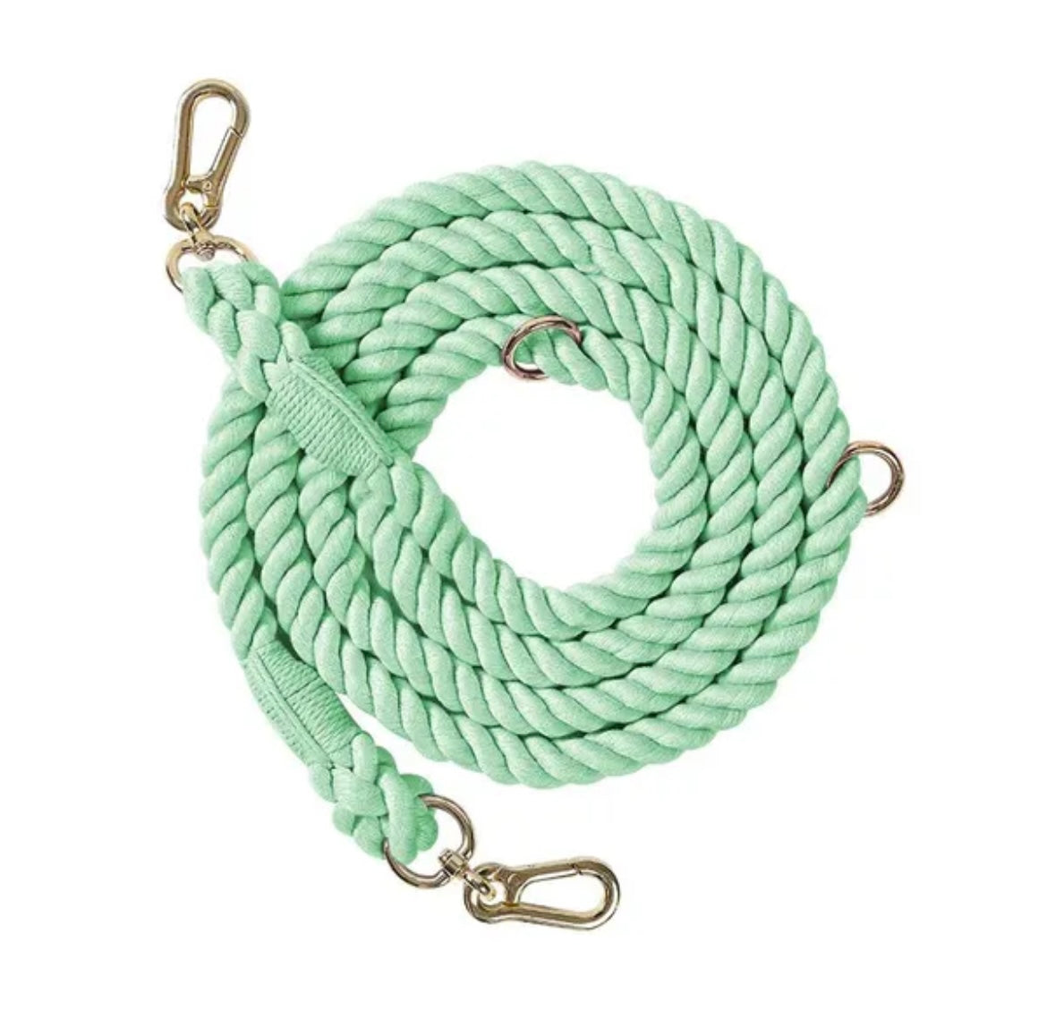 Dog Leash Braided Rope- Mint Green