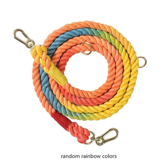 Dog Leash Braided Rope- Rainbow