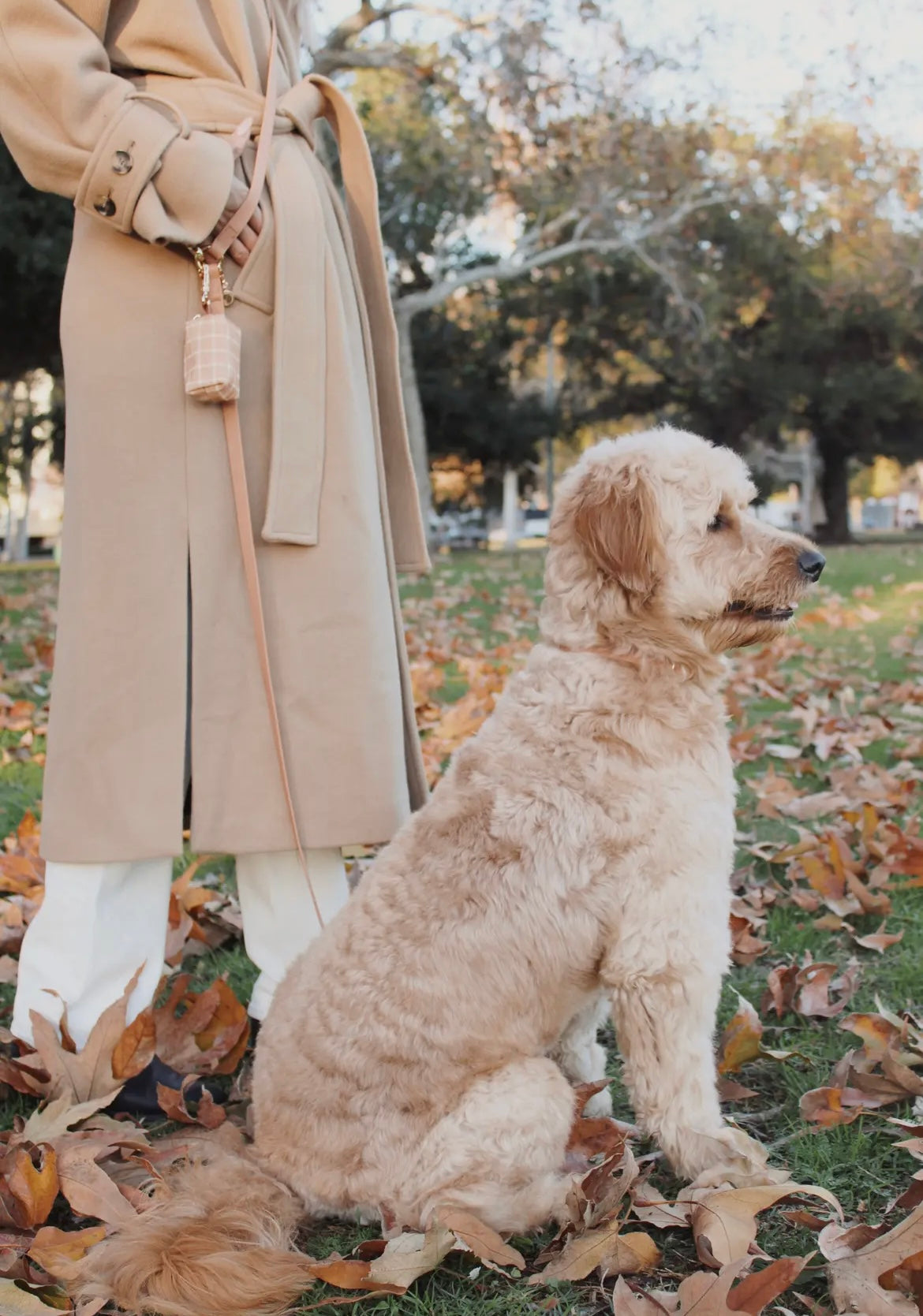 Sunnytails-Pistacho 4-in-1 Convertible Hands Free Cloud Dog Leash