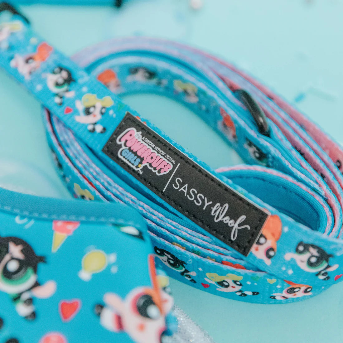 Sassy Woof- Dog Leash - The Powerpuff Girls™ (Blue)