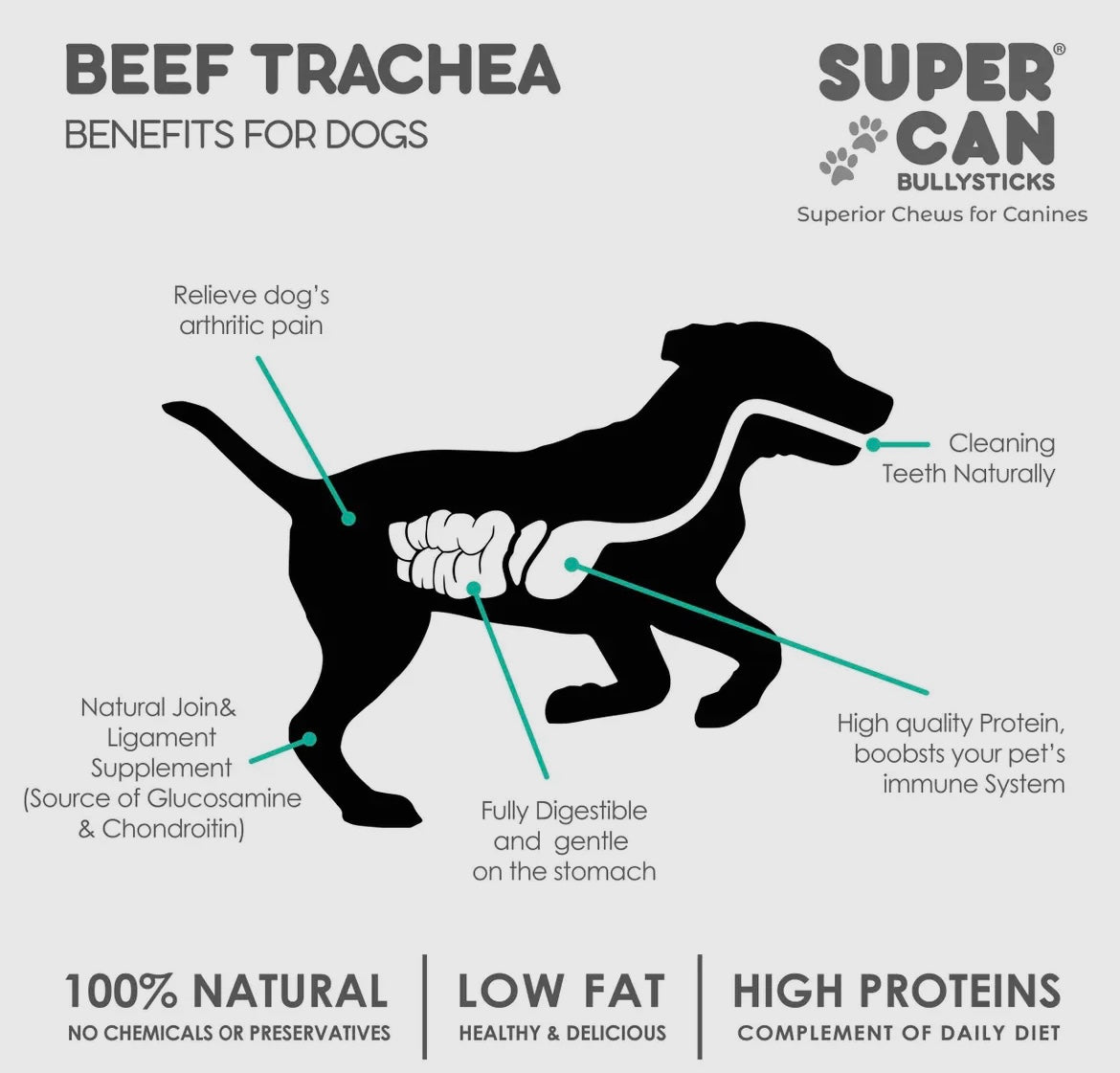 12" Beef Trachea (Pack of 5)