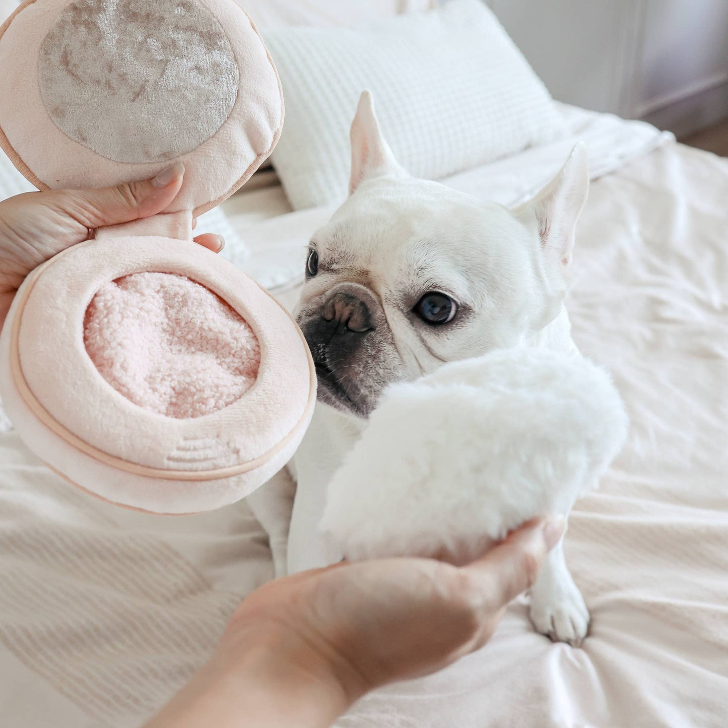 BLUSH // ENRICHMENT DOG TOY // SNUFFLE