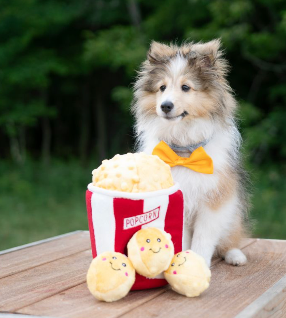 Zippy Burrow - Popcorn Bucket - Dog Toy