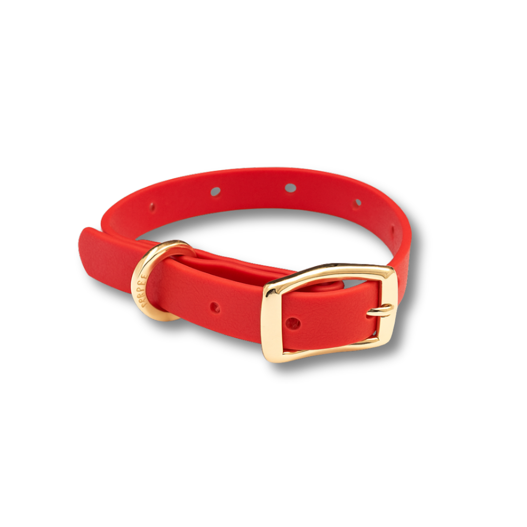 Moodies Collar: Black / XL
