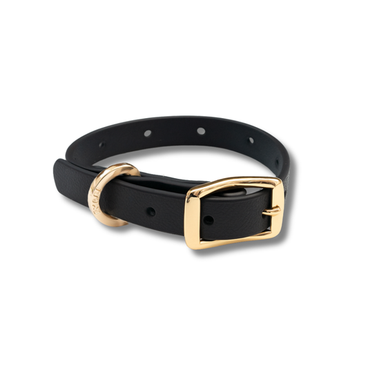 Moodies Collar: Black / XL