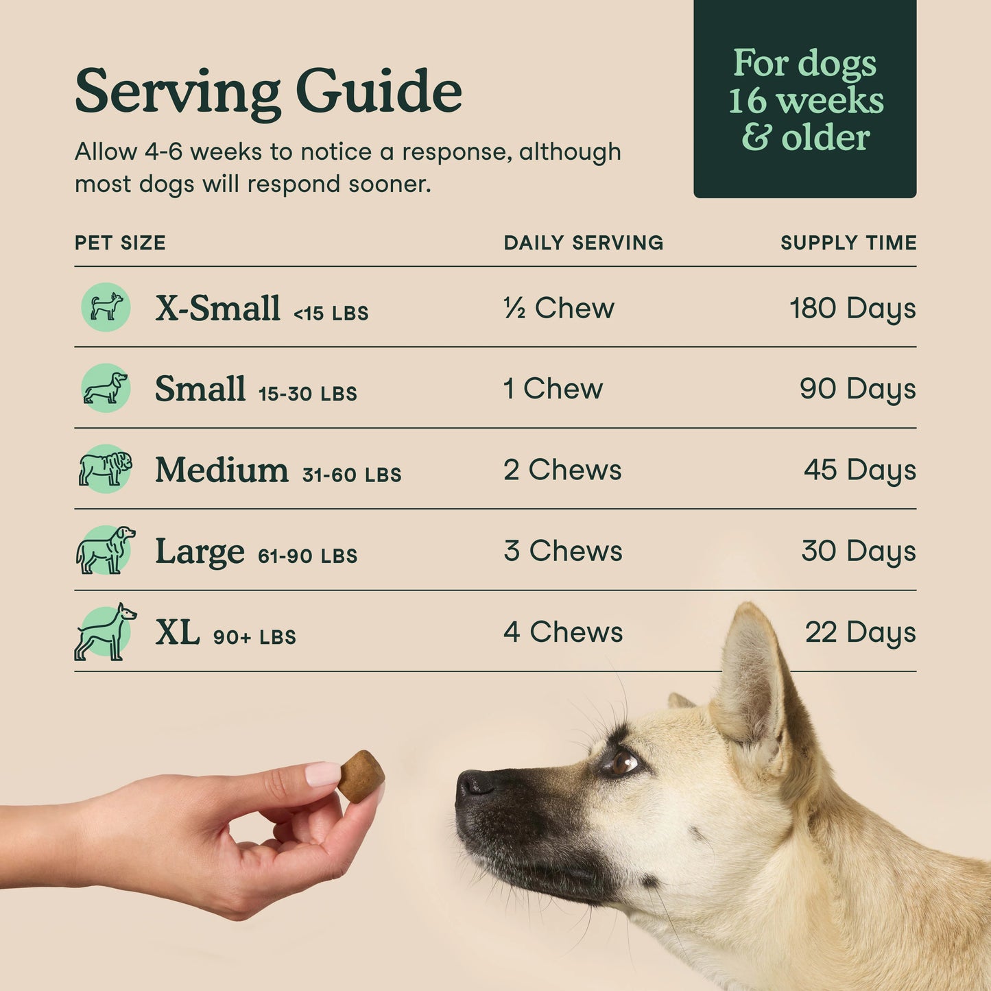 Hip + Joint Support Chews for Dogs