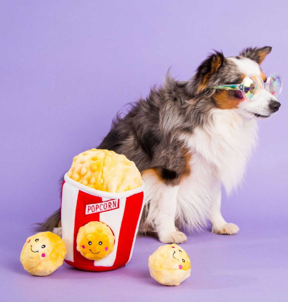 Zippy Burrow - Popcorn Bucket - Dog Toy