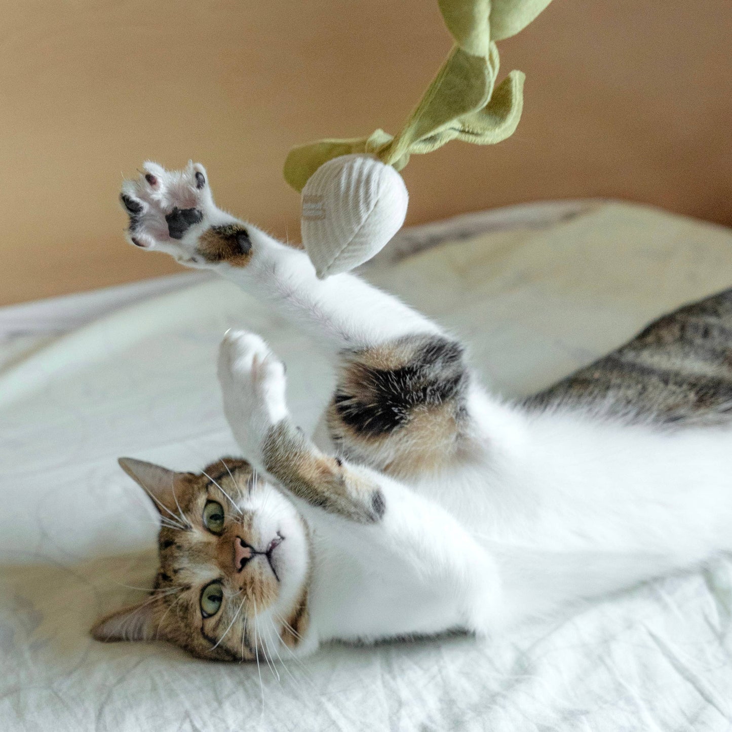 KITTY RADISH // CAT TOY // CATNIP: S/ CREAM
