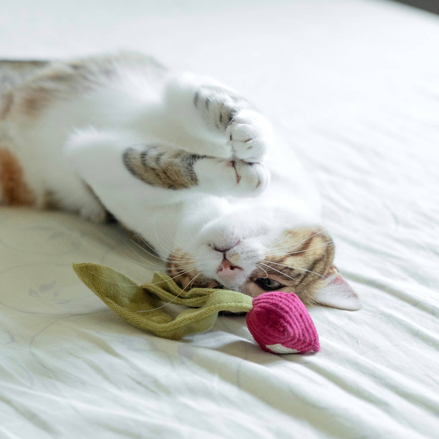 KITTY RADISH // CAT TOY // CATNIP: S/ CREAM