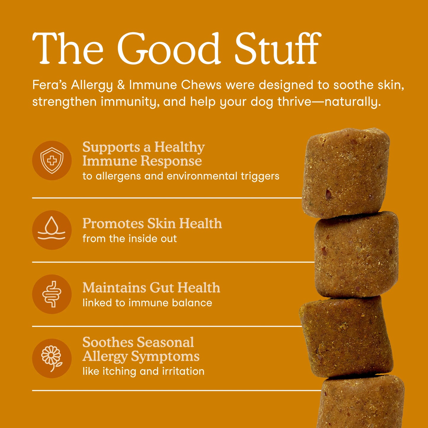 Allergy & Immune Support Soft Chews for Dogs