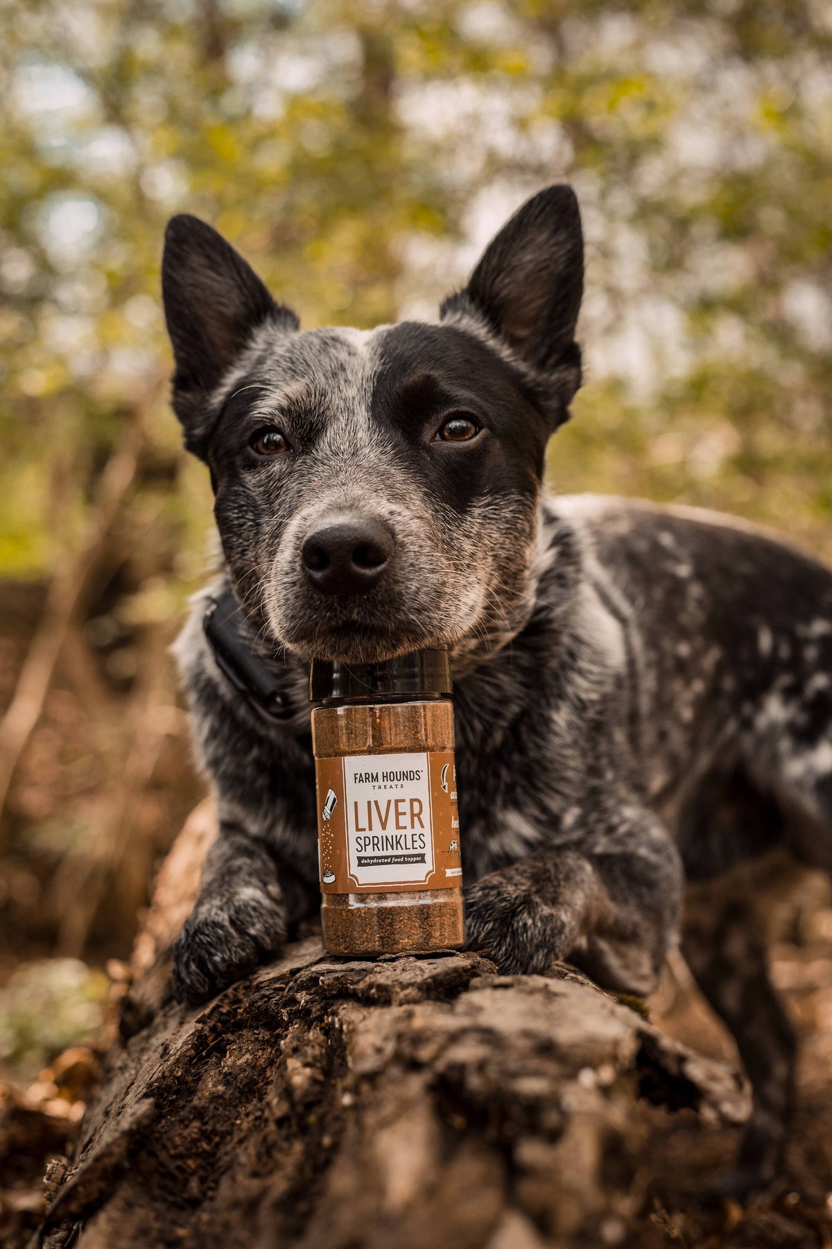 Single Ingredient Dog Food Topper - All-Natural - Duck Strips