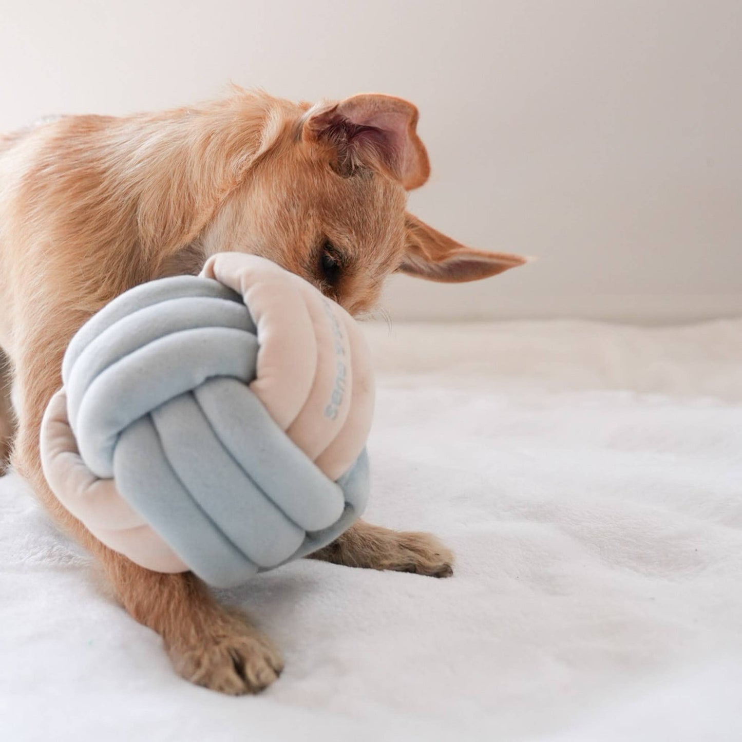 Snuffle Knot Nosework Toy