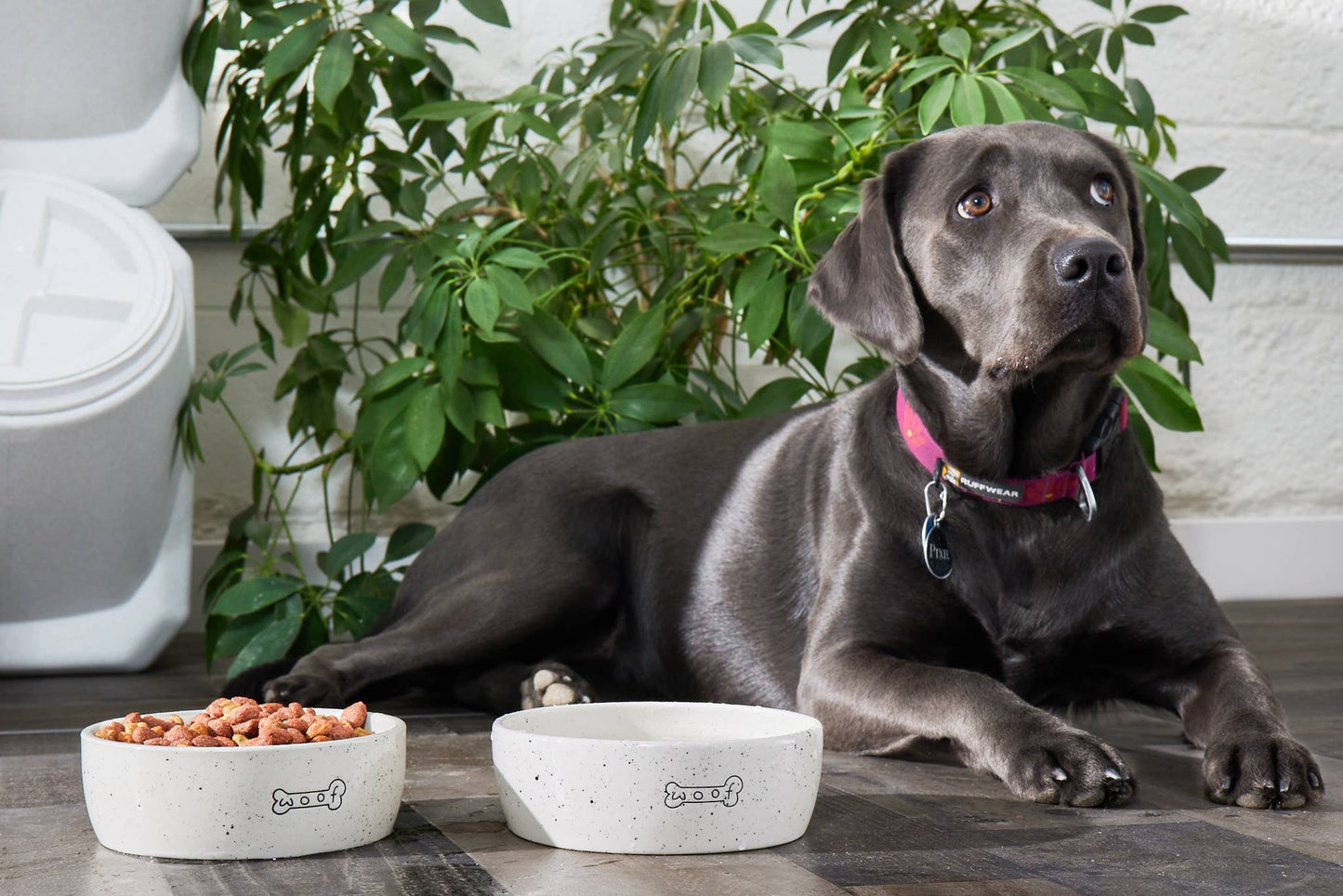 Woof Ceramic Dog Bowl, Water or Food Pet Dish, Medium