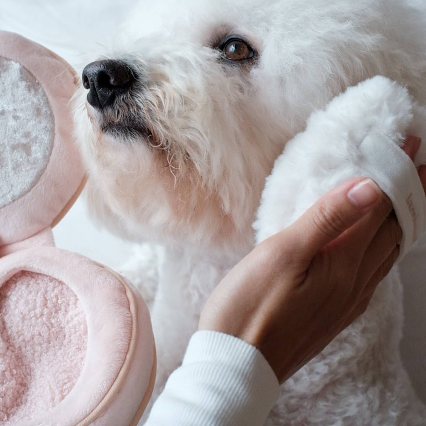 BLUSH // ENRICHMENT DOG TOY // SNUFFLE