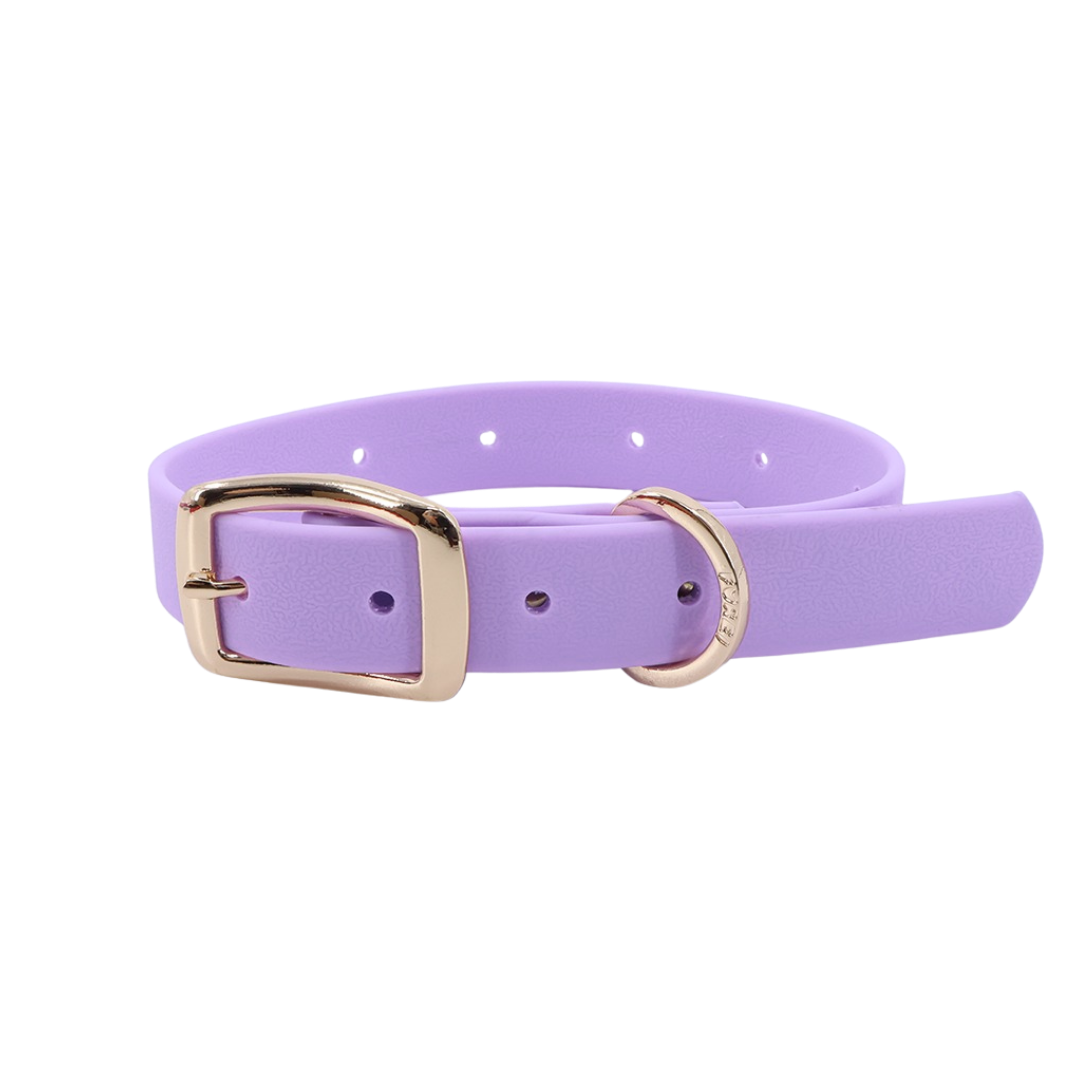 Moodies Collar: Black / M