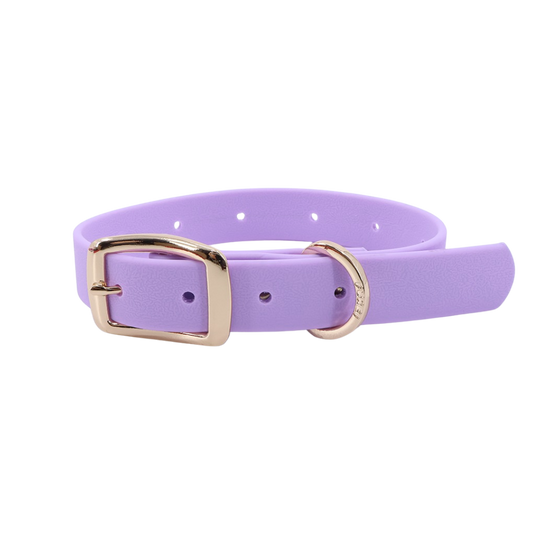 Moodies Collar: Lavender / M