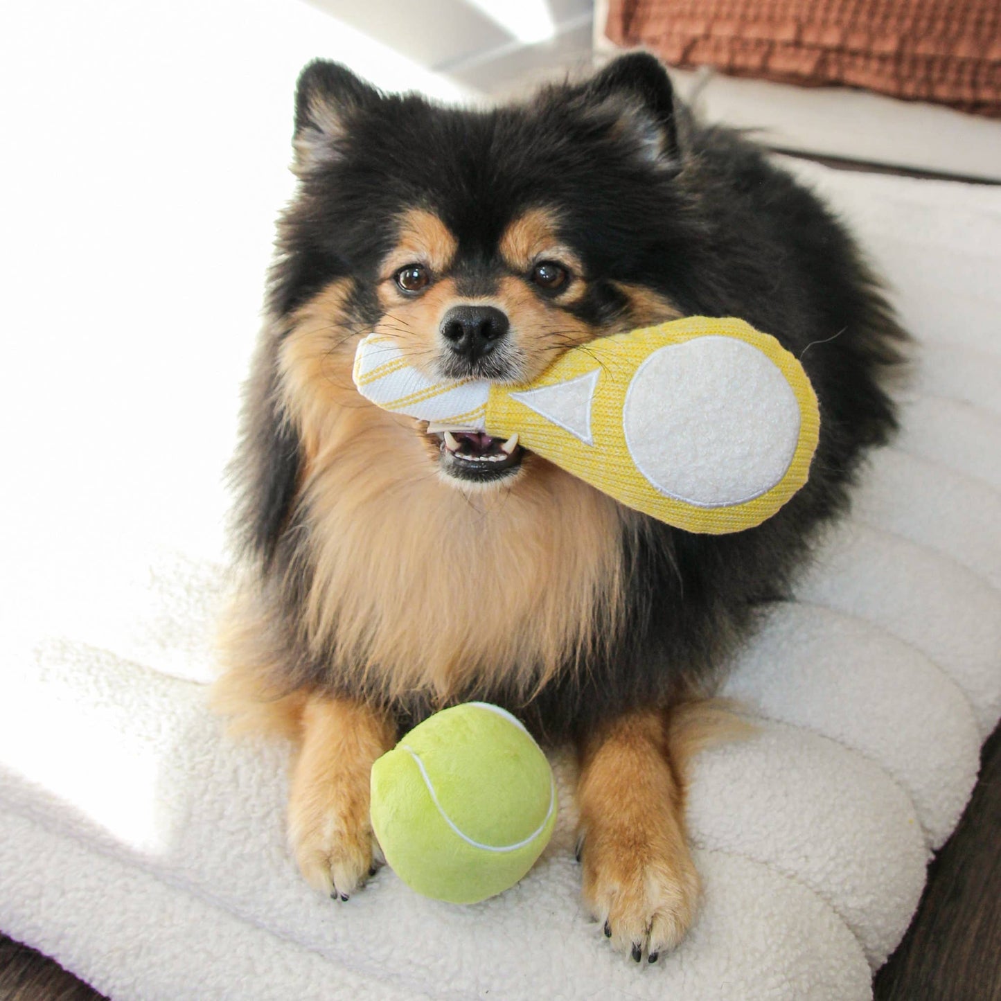 TENNIS POP // ENRICHMENT DOG TOY // Squeaky Ball Set