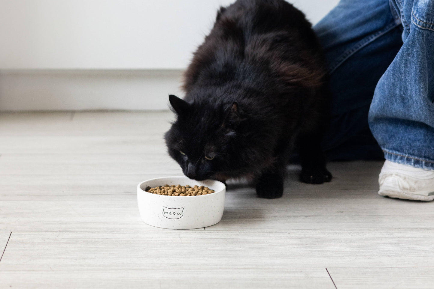 Speckled Cat Bowl, Water or Food Pet Dish, Small