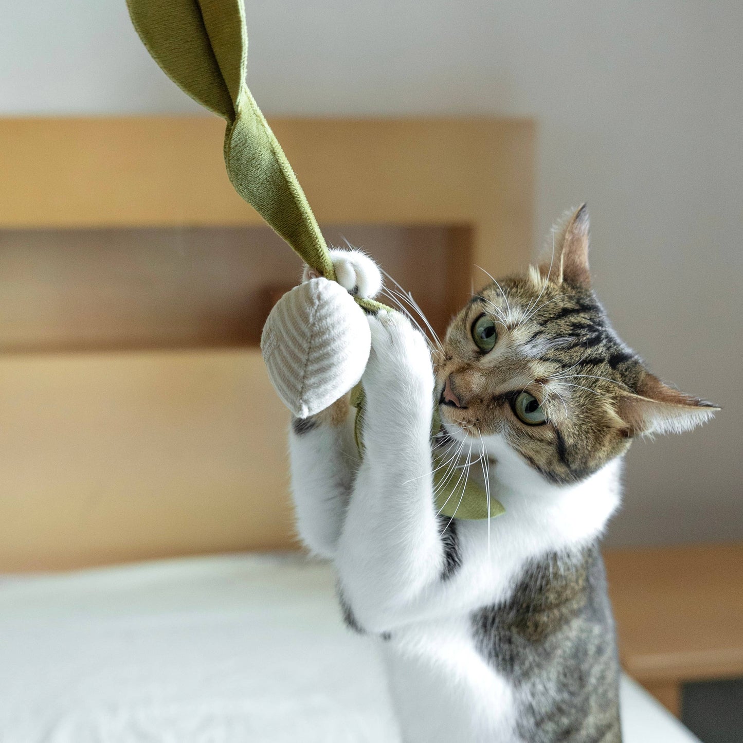 KITTY RADISH // CAT TOY // CATNIP: S/ CREAM