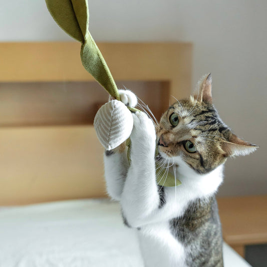 KITTY RADISH // CAT TOY // CATNIP: S/ CREAM