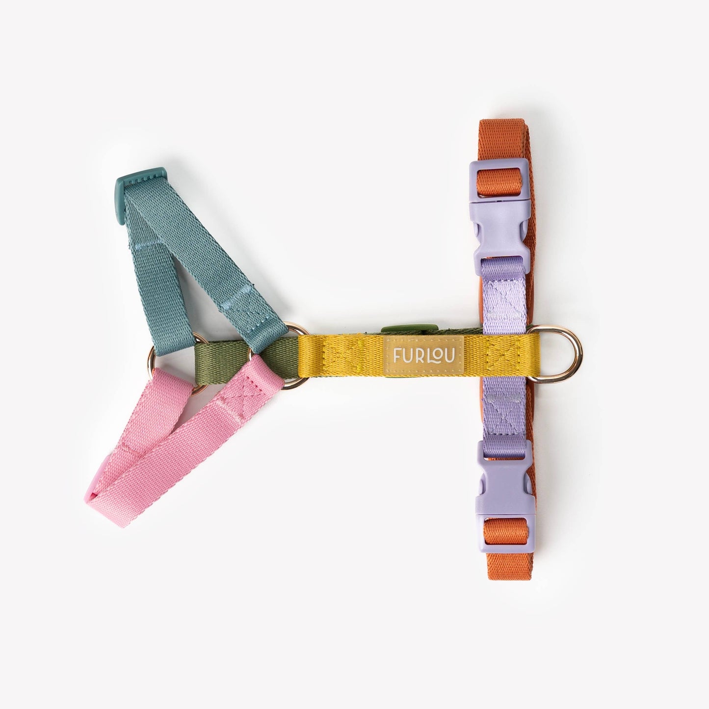 'Rainbow - Strap Dog Harness': Large