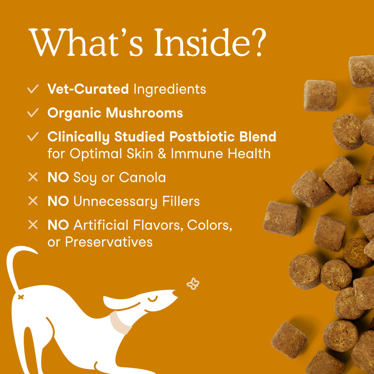 Allergy & Immune Support Soft Chews for Dogs