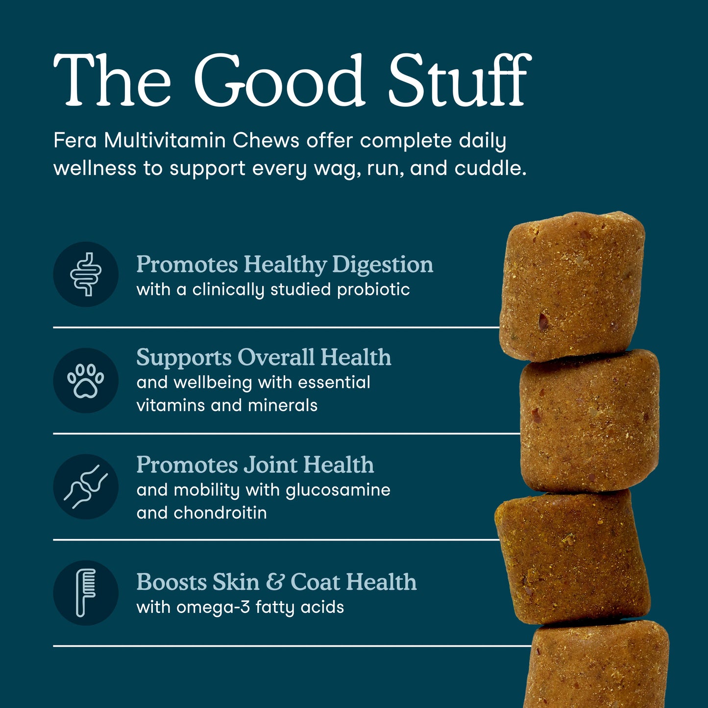 Multivitamin Soft Chews for Dogs